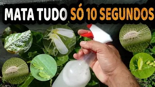 Elimina Pulgão, Cochonilha, Mosca Branca, Formiga, Lagartas - Receita Rápida Sem Gastar NADA
