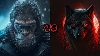 WOLF VS CHIMPANZEE WHO WILL WIN?????