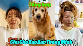 Tổng Hợp Chú Chó Bảo Bảo Thông Minh P1 Tập Dài #thúcưng #vậtnuôi #hàihước #funny #pets #animal #cute
