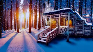 2 Months Alone in the Forest Building a Rustic Cabin With Hand Tools ,Time-Lapse