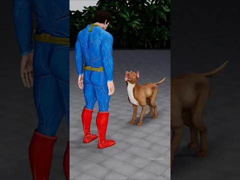 Superman vs Dog | When dog messed with superman