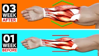 7 BEST Exercises for Bigger Forearms Workout
