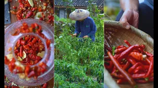 Cook With Me! The Easiest Pickled Chillies Recipe Ever And The Best Way to Cook Them