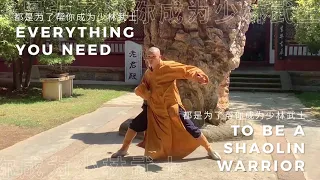 Shaolin Temple Online Training. Shaolin Warrior Path