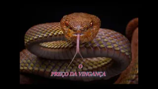 O PREÇO DA VINGANÇA  (  UMA LINDA REFLEXÃO DE VIDA  ) #motivação#gilsonsouza#reflexãodevida