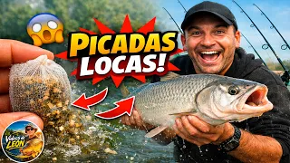 🎣 ¡LOCURA TOTAL! PESCA con BOLSITAS MÁGICAS y NO PARAN de PICAR 😱🔥