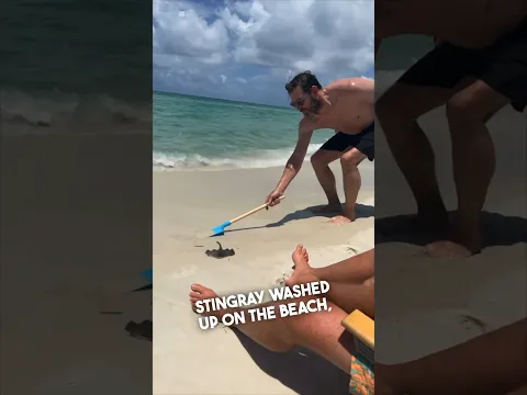 This guy got fooled at the beach 😂