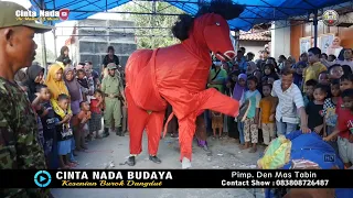 G4N4SSS... MACAN KUDA MERAH TARUNGAN ~ BUROK DANGDUT CINTA NADA BUDAYA SHOW PAMULIHAN  03/07/2022