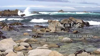 Fly Like An Eagle