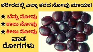 😱 ಈ ಬೀಜಗಳು ತಿಂದ್ರೆ ಎಷ್ಟು ಬೆನಿಫಿಟ್ಸ್ ಇದೆ ಗೊತ್ತಾ । ಬೆನ್ನು ನೋವು, ಕಾಲು ನೋವು, ಕೀಲು ನೋವು ಇದ್ದವರು ನೋಡಲೇಬೇಕು