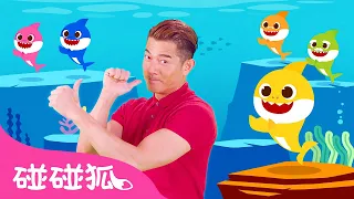 [第二版] 郭富城天王版 Baby Shark🦈 | Aaron Kwok Dancing to Baby Shark | 鲨鱼宝宝｜鲨鱼一家｜碰碰狐Pinkfong