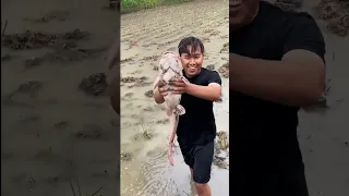 Kumpulan Video Saat Hujan Deras Menemukan Ikan Lele Albino Ukuran Monster