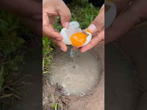 Survival Skills: SMART ideas and Useful in forest #camping #outdoors #survival #crab