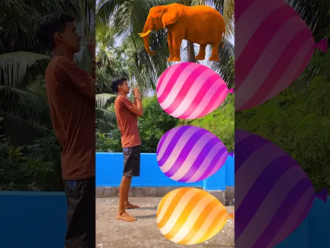 Animals Names 🦣🐎 #shorts
