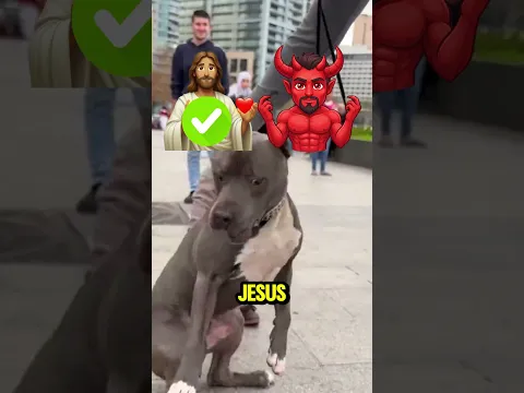 The Kid Wouldn't Leave The Dog Alone, So THIS Happened 😱❗🐶
