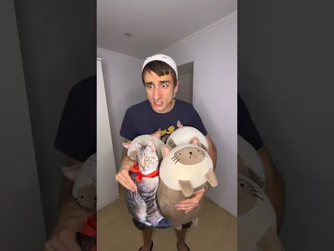 Кошкокрад и котики #юмор #рекомендации #прикол