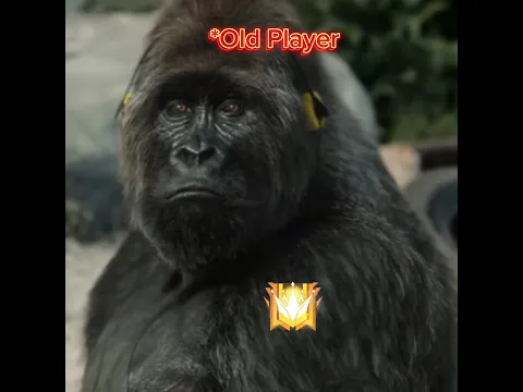 Goosebumps Alert⚠️ || Nostalgia Guaranteed 🥺 || Only Free fire Old Players Can Relate❤️