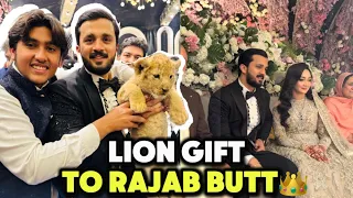I gift Lion cub to Rajjab Butt On His Wedding Ceremony 🦁😱 | Amazing reactions of people😨| Lion hub |
