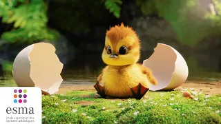 Quack ! - ESMA 2024