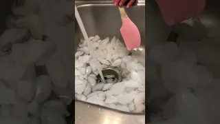 TikTok trick to clean Sink Disposal | TikTok hack | Kitchen Deep Clean