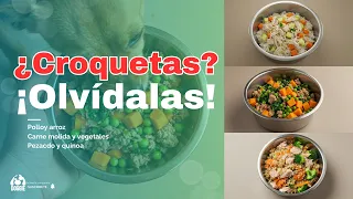 Croquetas NO 🚫 Alternativas caseras que tu perro amará 🐾🍲