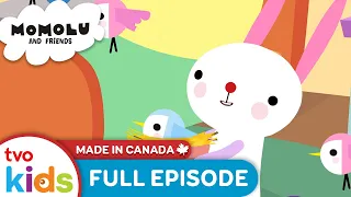Banni's Bird House 🐥 |  🇨🇦🐼 MOMOLU & FRIENDS 🐻🦊🐰| Creative Thinking & Problem Solving 🎨 | TVOkids