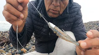 Los Trucos y concejos que todo PESCADOR de Lenguados debe saber - Fáciles y útiles