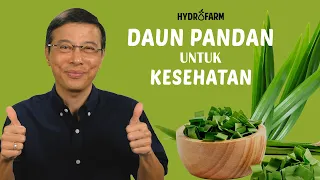 DAUN PANDAN UNTUK KESEHATAN TUBUH