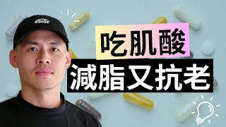 肌酸的 3 大功效、迷思破解、補充方法，最強補給指南 15 分鐘一次講完！