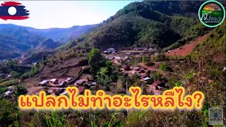 หมู่บ้านนี้ไม่คิดจะทำอะไรหลืไงกัน#ชนบทลาว #ลาว