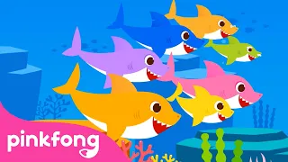 (ENG) Baby Shark More and More | Baby Shark  | Bimbo Squalo | Pinkfong! Canzoni per Bambini