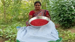 #మిక్సీ లేకుండా దానిమ్మకాయ జ్యూస్#pomegranate juice#Mamta natural food#