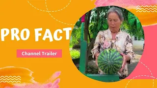 Channel trailer 💪🔥 ~wood toy-woodworking art skill wood / hand crafts #shortsvideo #shortsfeed