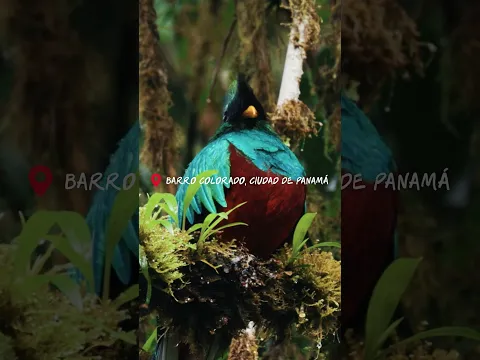 Panamá