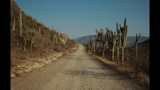 La búsqueda de la última Coca-Cola del desierto