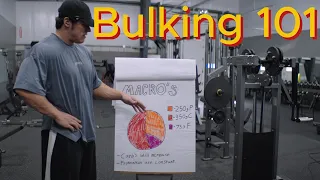 Bulking 101 - Intro Lecture