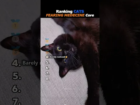 Ranking Cats Fearing Medecine Core😂🥹