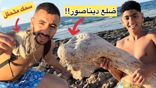 تحدي البقاء علي قيد الحياة لمدة 24 ساعة علي جزيرة مجهولة