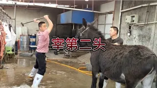 现宰驴肉不好吃么