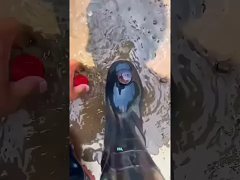 O sapato está cheio de água...