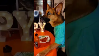 mis papás con chile 🐶🐶😋🤤🌶️🔥