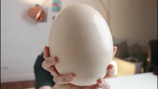 I Made World's Largest Devil Egg