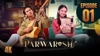 Parwarish Episode 1 | पूरा एपिसोड | Aina Asif | Samar Jafri | Binge - शृंखला