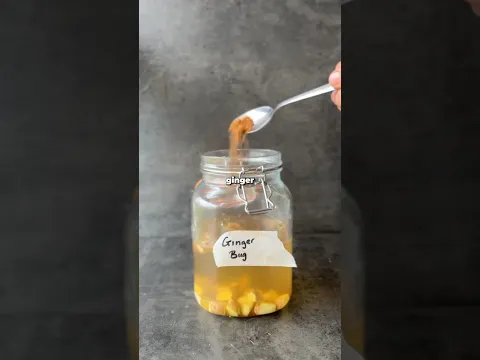 The secret to homemade probiotic sodas 🫧