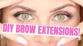 $5 Eyebrow extensions hack | cheap 3D brows at home using fake lashes // Lindsay Ann