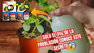 😱Descubre estos 3 Secretos que solo el 1% de la población conoce sobre los Fertilizantes orgánicos🍋🍎