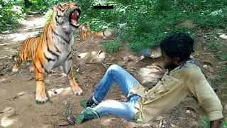 बाघ खा गया ? tiger attack #tiger #popular
