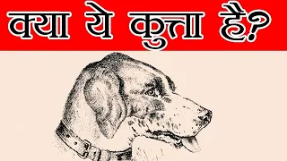 क्या ये एक कुत्ता है? सबसे दिलचस्प Optical Illusion जिसने मुझे चकित कर दिया |