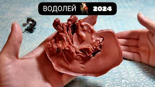 🔥 ВОДОЛЕЙ 2024 ГОД СУДЬБОНОСНЫЕ ПЕРЕМЕНЫ Узнай что ждёт Чем судьба порадует? Гадание на воске