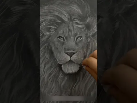 Aprende a dibujar un león a lápiz paso a paso #dibujoscreativos #leon